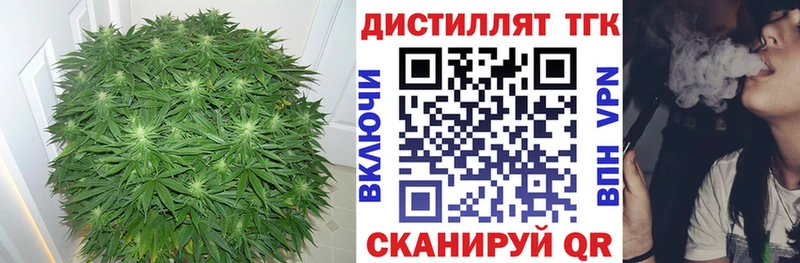 мега ссылки  Малоярославец  Дистиллят ТГК жижа  купить наркотики цена 